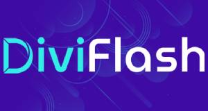 Diviflash Logo